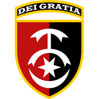 30-UA emblem