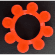 NALLI emblem