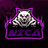 NICA emblem