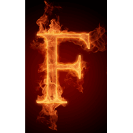 FIDOR emblem