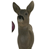 JMLP emblem
