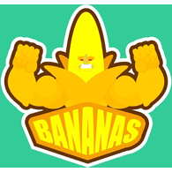 BA-AS emblem