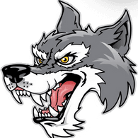 P_A_P emblem