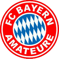 BAYA emblem
