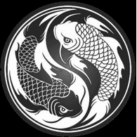 Y0Y emblem