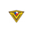 CS2T emblem