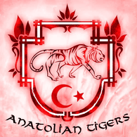 AND emblem