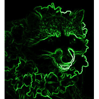 RACON emblem