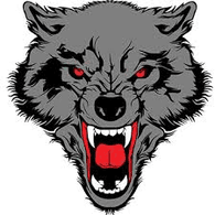 X61X emblem