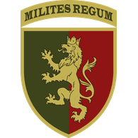 3C-Y emblem