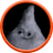 RYJ emblem