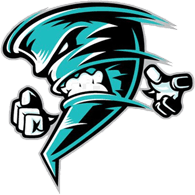 5S emblem