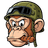 SOSAI emblem