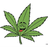 D_PE emblem