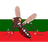 KOMAP emblem