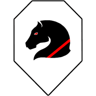 PE_TE emblem