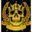 1SV1 emblem