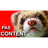 P-A_S emblem