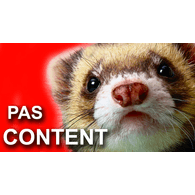 P-A_S emblem