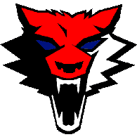 RAYN emblem