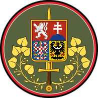 1-CSW emblem