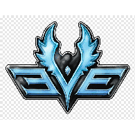 YZYS emblem