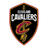 CCAVS emblem