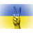 QER emblem