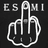 ESMI emblem