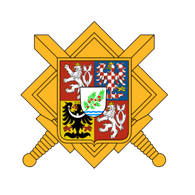 1CSTO emblem