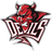 FIN-D emblem