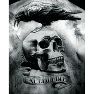 TEXES emblem