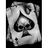 EVERS emblem
