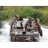 LCTM emblem