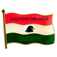 BSHU1 emblem