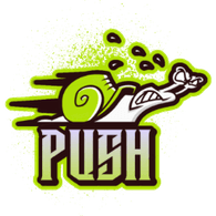 1PUSH emblem
