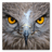 WOJE emblem