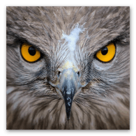 WOJE emblem