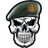 U-TDF emblem