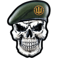 U-TDF emblem
