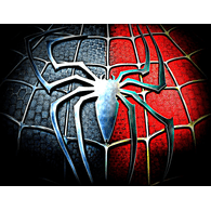 SPINN emblem