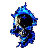 RNMD3 emblem
