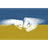 UAWOR emblem