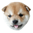 POTAT emblem