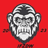 IFZDW emblem