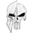 CSNT emblem