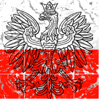 _XIII emblem
