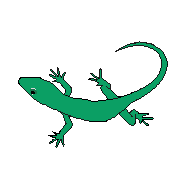 G4DY emblem