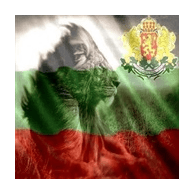 BGSON emblem