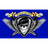 SASDE emblem